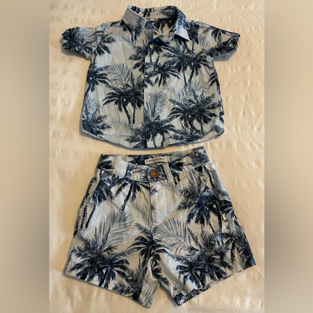 Posh Peanut Palm Tree Button Down Shirt and Shorts Set